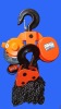 DHY/DHP SERIES ENDLESS CHAIN ELECTRIC HOIST