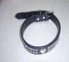 pet collar, dog collar, cat collar, pet products