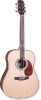 Acoustic Guitar-string instrument-musical instrument