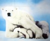 baby polar fleece blanket(two-sided brushed fleece blanket)