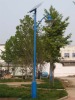 Solar Street Light