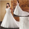 Stunning  Wedding Dress ps030