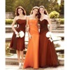 Stunning Bridesmaid/Evening Dress LN62