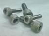 Hexagon Head Titanium Screw