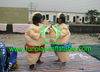 2013 sumo costume