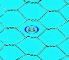 Hexagonal Wire Mesh(Manufacturer)