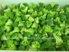 frozen broccoli