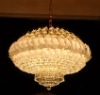 Crystal Chandeliers&Pendant Lights