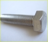 Hexagon Head Bolts