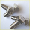 stainless Hexagon Head Bolts