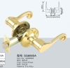 SG809SA tubular lever lock