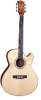 Acoustic Guitar-string instrument-musical instrument