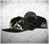 ATTENTION PLEASE,2010 YEAR NEW ARRIVED ROCKSTAR ENERGY HATS WITH FREE SHIPPING!!!