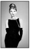 UV BACKDROP/DRAPES/DECOR/ WALL HANGING/PICTURES/PHOTOS/audrey hepburn