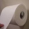 Toilet Tissue