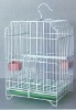 Cages For Pet Birds