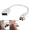 Mini DVI to HDMI Adapter Cable