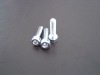 socket cap bolt