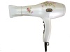 Professional Hair Dryer