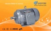 Electrical Motors