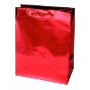 Paper Shopping Bag (Item No.DYP329)