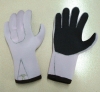 neoprene gloves