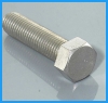 stainless hexagon steel bolts (hex bolts)