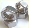 Stainless Steel Hex Nuts