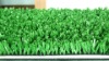 artificial turf 2516ADA-B3(synthetic lawn, artificial grass)