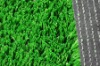 artificial turf2516ADA-B3(synthetic grass, artificial lawn)