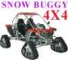 SNOW BUGGY (1100cc / 800cc / 500cc 4X4)