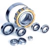 SL185015A  INA bearings