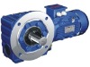 Worm Gear Reducer