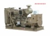 Cummins Diesel Generator