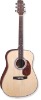 Acoustic Guitar-string instrument-musical instrument