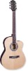 Acoustic Guitar-string instrument-musical instrument