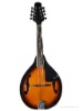 Mandolin string musical instrument