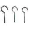 Hook Screws