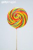 lollipop stick