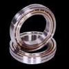 Angular Contact Ball Bearing 7000AC/7216AC/7300AC/71900