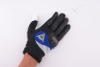 Motorcycle gloves/motorcycle riding gloves/motorbike gloves