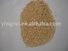 2011 good quality polished millet