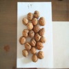 2012 GY Walnut in shell