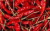 dried red chilli