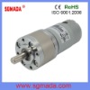 DC Planetary Gear Motor