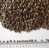 2012 Crop Chinese organicBuckwheats