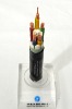 CU/PVC/PVC Power Cable