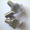 Stainless Steel Hexagon Bolts