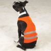 dog vest