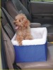 Pet product/ pet accessory / pet bed